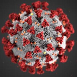 Coronavirus Image